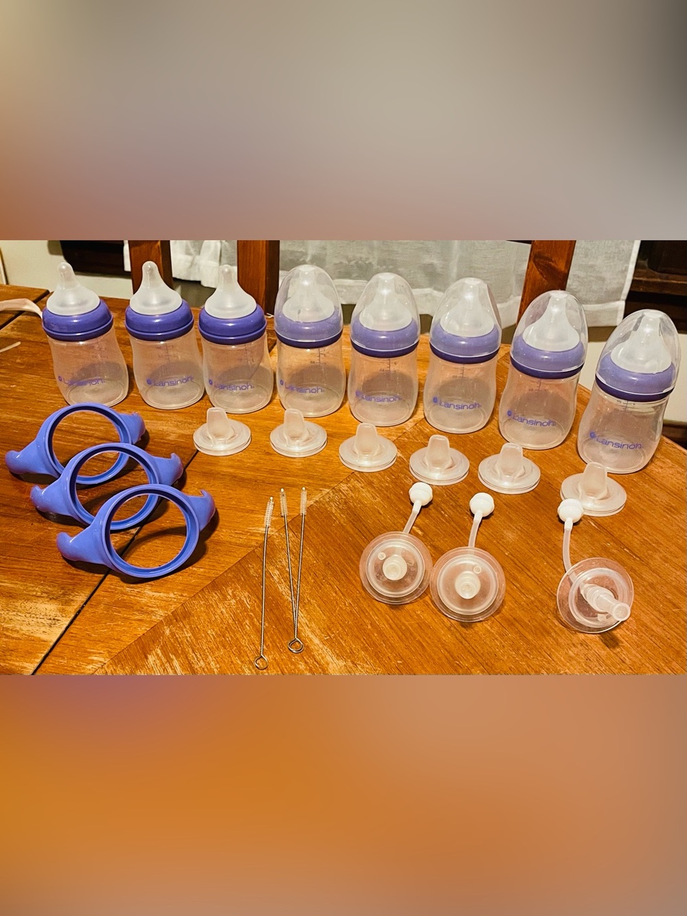 Lansinoh Bottle and sippy Bundle!